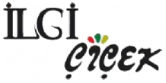 lgi ieek Logo