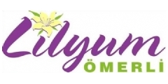 Lilyum AVM Logo