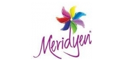 Meridyen AVM Logo