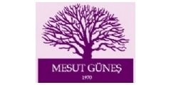 Mesut Gne Logo