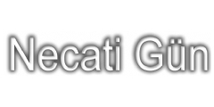 Necati Gn Logo