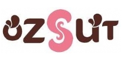 zst Logo