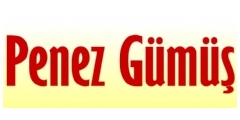 Penez Gm Logo