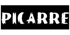 Picarre Logo