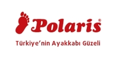 Polaris Logo