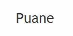 Puane Logo