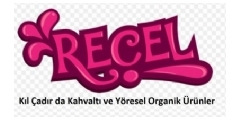 Recel Logo