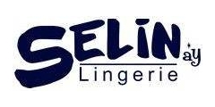 SELNay Logo
