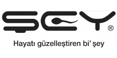 ey Logo