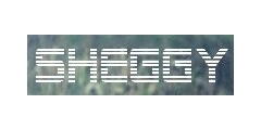 Sheggy Logo