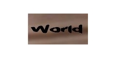 World Giyim Logo