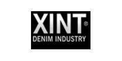 Xint Logo