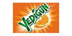 Yedign Logo