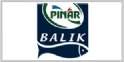 Pnar Balk