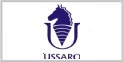 Ussaro