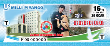 29 Ocak 2013 Sal tarihli 29 Ocak 2013 Milli Pyango Bileti
