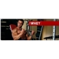 konsantre whey protein