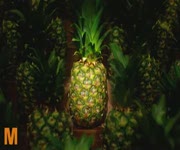 Migros - Ananas