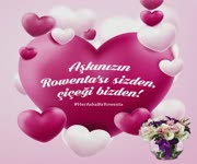 Rowenta - Sevgililer Gn