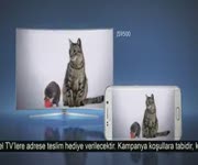 Samsung TV - Galaxy S6 Edge Hediye