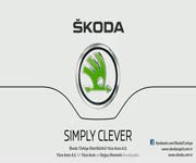 Yeni Skoda Rapid